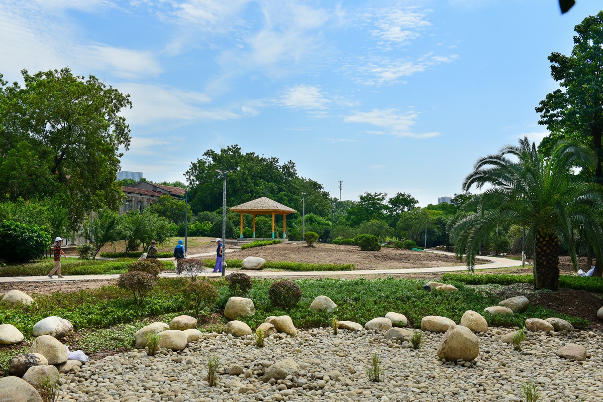 南幹渠公園海綿